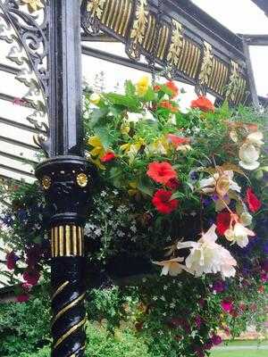 Magnesia Well Tea Room