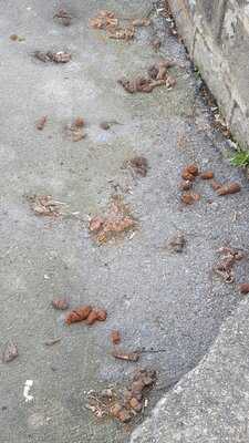 The Fleece Horsforth