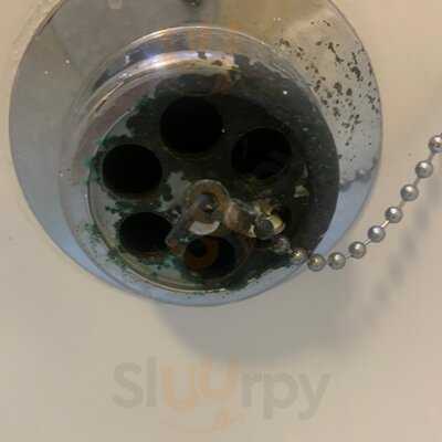 Bluebell Hotel Middlesbrough