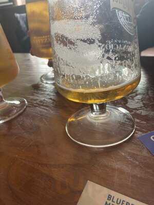 Bluebell Hotel Middlesbrough