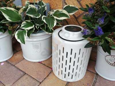 Skelton Garden Centre