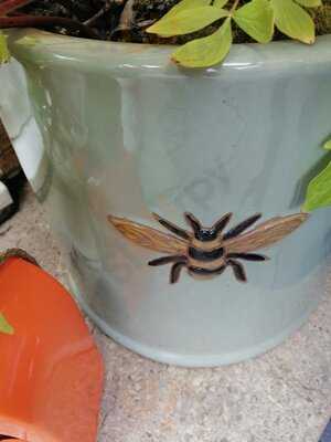 Skelton Garden Centre