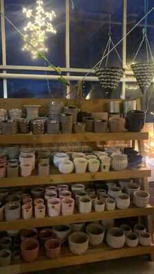 Skelton Garden Centre