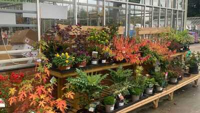 Skelton Garden Centre