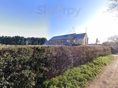 Nineteen Bar & Grill