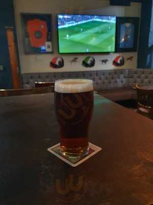 The Intrepid Explorer