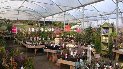 Birchencliffe A Wyevale Garden Centre