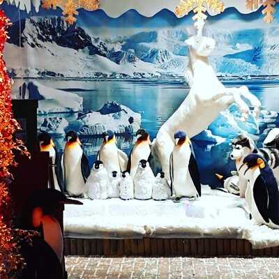 Wyevale Garden Centre Coffee Shop