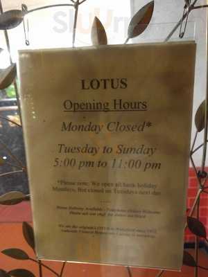 The Lotus