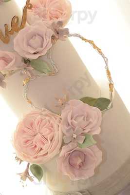 Sugar Velvet Cake Company