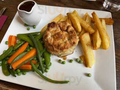 The Golden Pheasant.