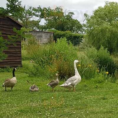Manvell Farm Tea Room