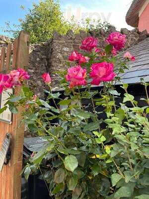 Weavers Cottage Tea Garden