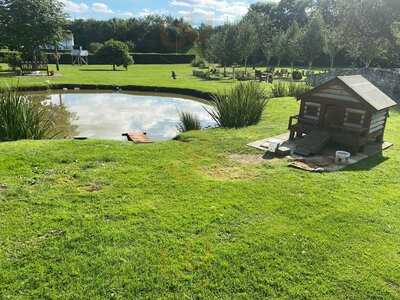 Tea Rooms At The Pet Cemetery