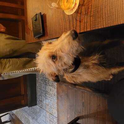 The Tall Ship Public House