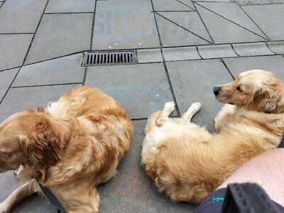 Red Boat Ice Cream Parlour