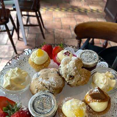 Northern Tea Merchants