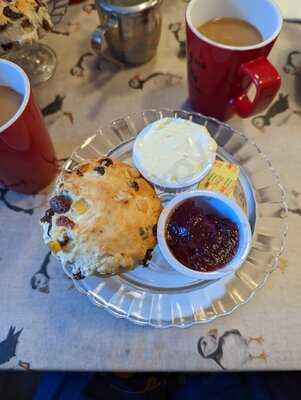 Caffi Wiwer Goch - Red Squirrel Cafe