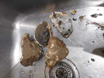 West Mersea Oyster Bar