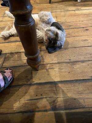 The Rising Sun Inn - Pub & Restaurant