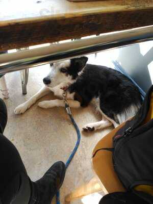 Baristocats Coffee Lounge