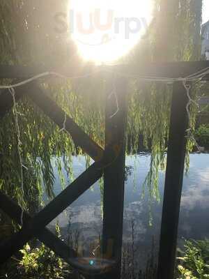 The Royal Oak Pub & Dining House