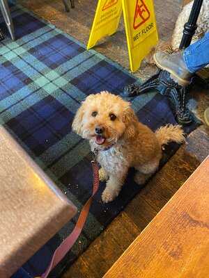 L's Coffee And Books