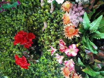 In Town Thai Cuisine