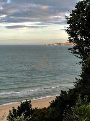 Stock Dining Room & Bar