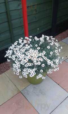 Tavern Fayre At Hunger Hill Bolton