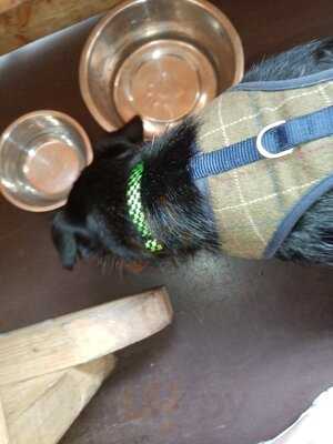 Hickory's Smokehouse Southport