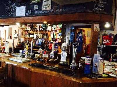 The Prince Of Wales Feathers