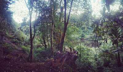 Lezzet Authentic Restaurant