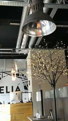 Olive Tree Brasserie Preston