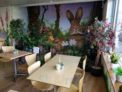 Rabbit Vegan Cafe