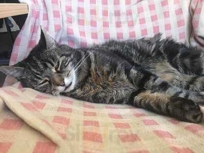 Beefeater Twelve Bells