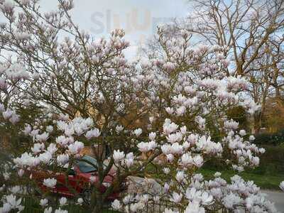 Beefeater Twelve Bells