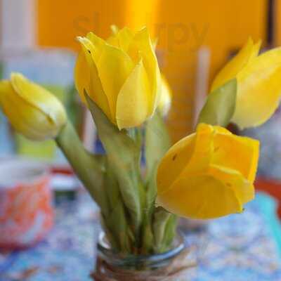 The Glorious Art House