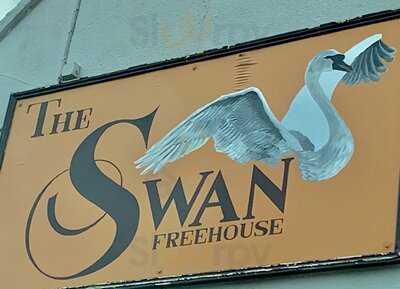 The Swan