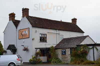 The Swan