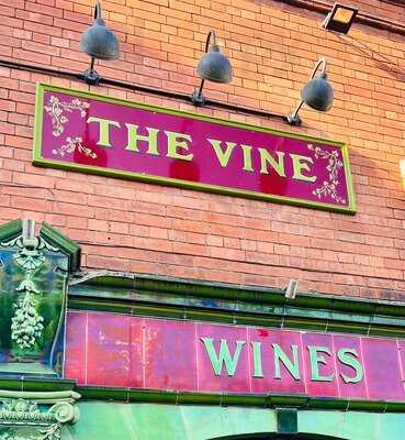 The Vine