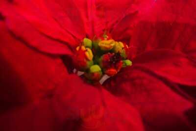 The Cafe At Ridgeway