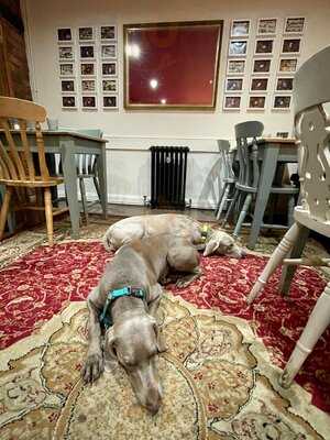 The Bluebell Inn Helpston