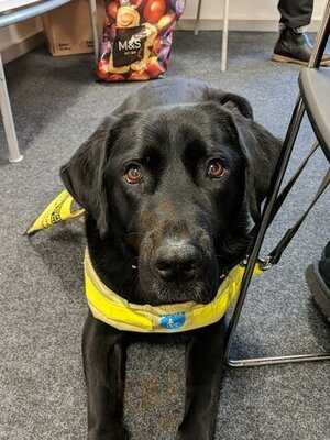 Surma Valley Restaurant