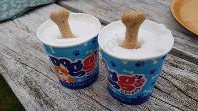 At Cwm Ivy Cafe & Crafts