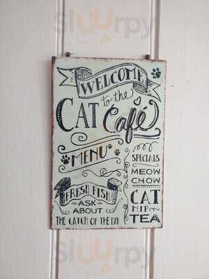 The Black Cat Cafe
