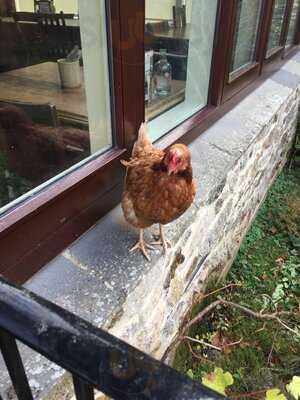 The Old Inn Widdecombe