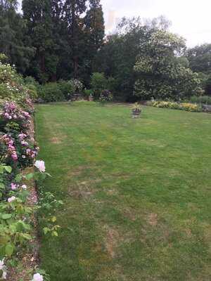 Afternoon Cream Tea At Grim's Dyke Hotel