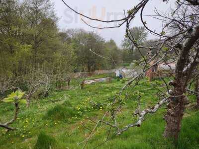 Prinknash Abbey Monastery Shop & Cafe