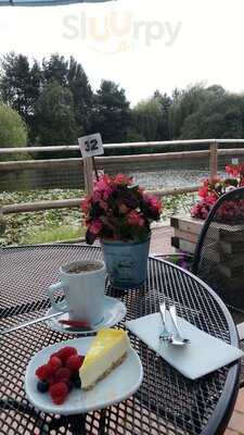 Waterside Cafe
